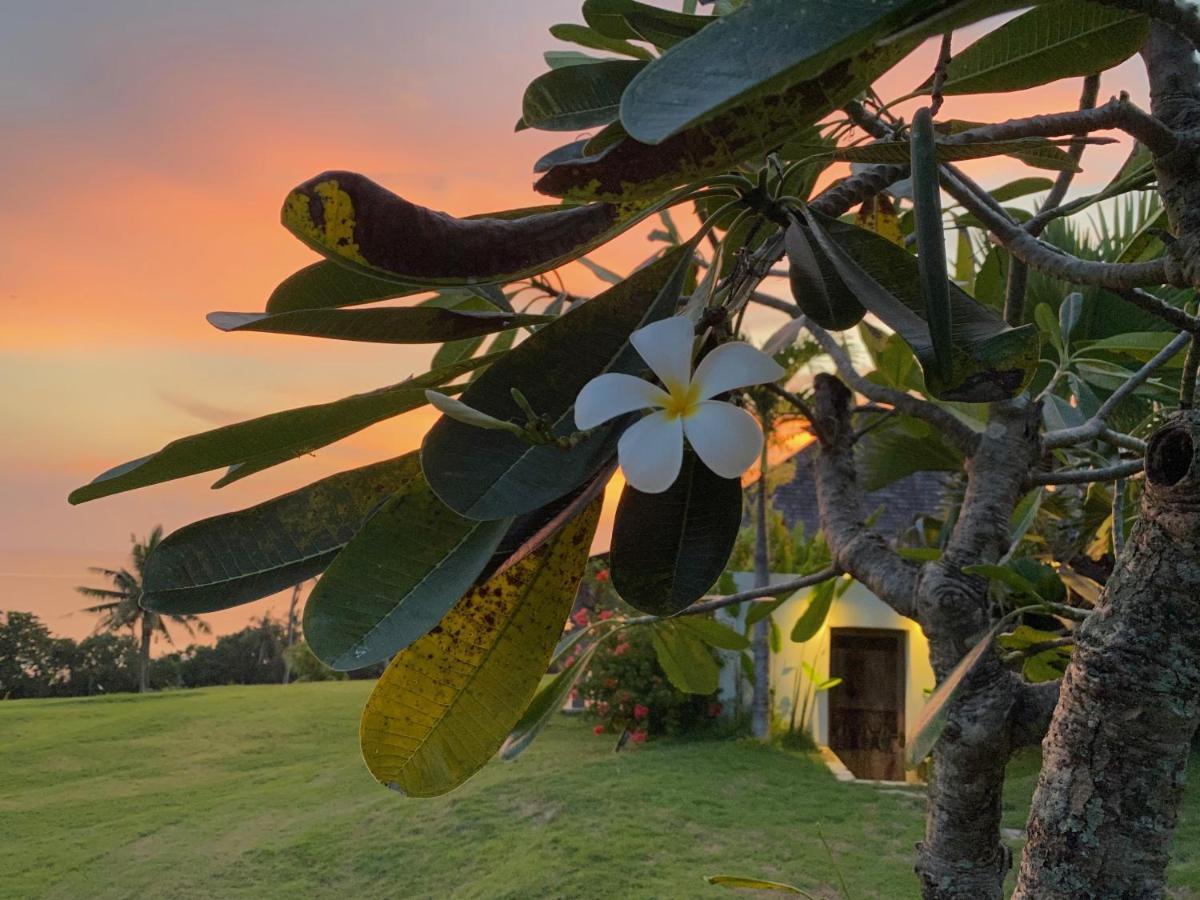 Hotel Balian Prana Selemadeg  Exteriér fotografie